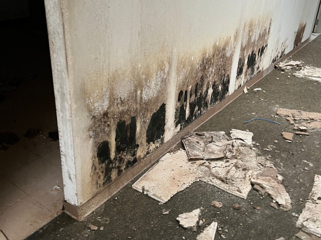  restoration company water damage